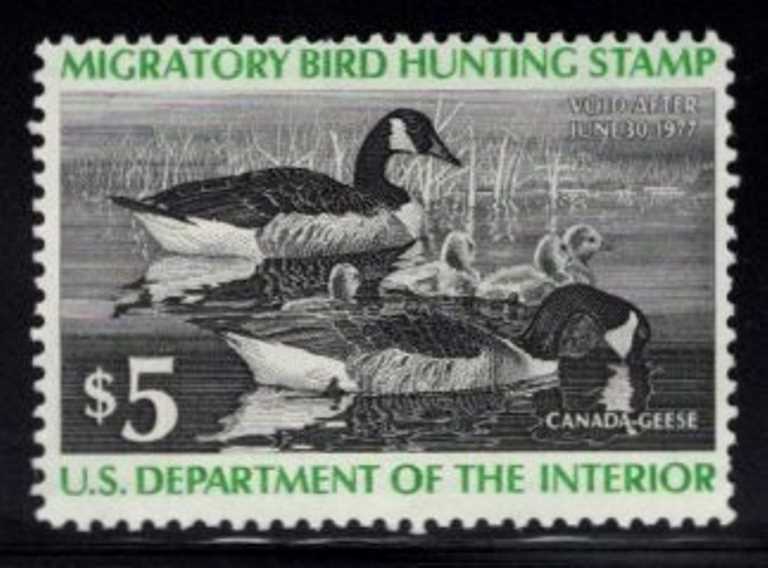 RW-43 Federal Duck Stamp Mint NH OG Face $5.00