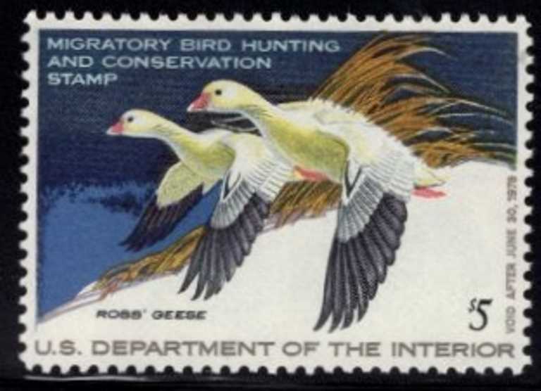 RW-44 Federal Duck Stamp Mint NH OG Face $5.00